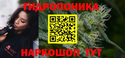 тгк Пушкино