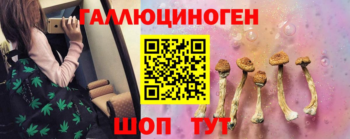 Псилоцибиновые грибы мицелий  Вход с VPN  Галлюциногенные грибы Psilocybe  где продают наркотики  Псков 