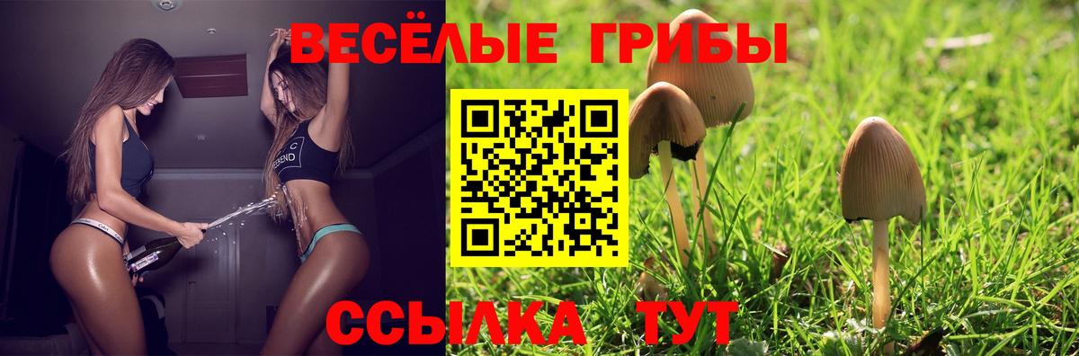 Галлюциногенные грибы GOLDEN TEACHER Псков